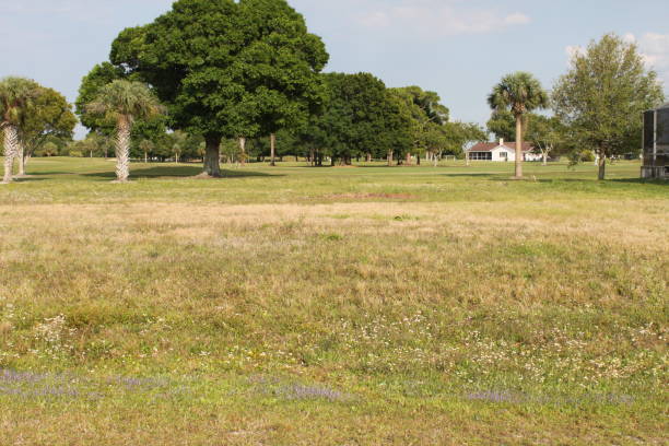 Cape Coral - foto de acervo