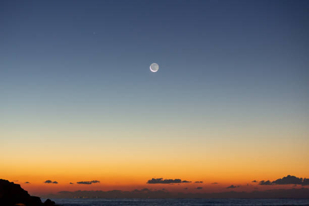 istock Oiso Beach at dawn 1295399748