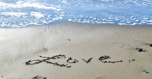 istock Love written on sand on the beach with ocean 1295406595