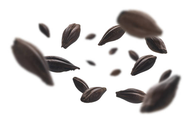 istock Roasted rye malt grains levitate on a white background 1295407208
