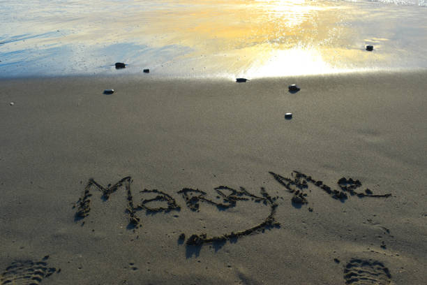 istock Marry Me handwritten on sand with sunset reflection on ocean 1295407257