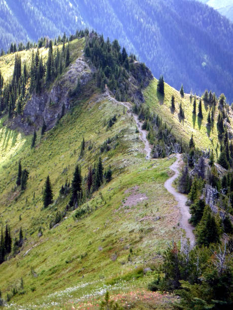 istock Idaho Peak,  near Sandon, BC, has a heritage fire lookout. 1295409973