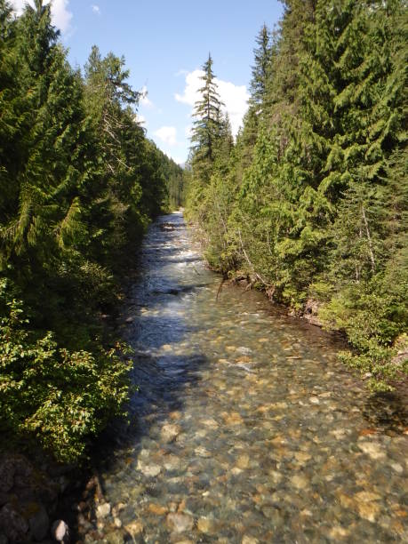 istock Kaslo River flows into Kootenay Lake at Kaslo, BC, Canada. 1295410007