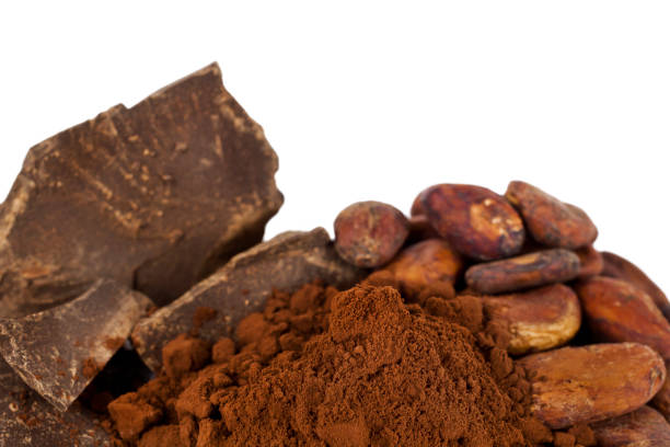 istock Cocoa beans with cacao powder and cocoa pieces 1295417722