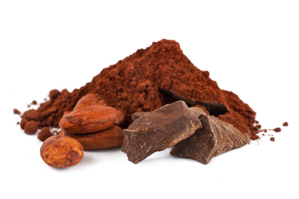 frijoles de cacao con cacao en polvo y trozos de cacao - cocoa cocoa bean chocolate brazil fotografías e imágenes de stock