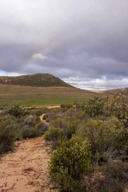 istock Trail to the Rainbow, through fynbos 1295421088