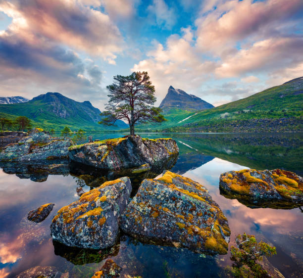 fantastischer sommersonnenaufgang auf dem innerdalsvatna see. bunte morgenszene in norwegen, europa. schönheit des naturkonzepts hintergrund. künstlerische stil post verarbeitet foto. - mountain peak norway reflection sunlight stock-fotos und bilder