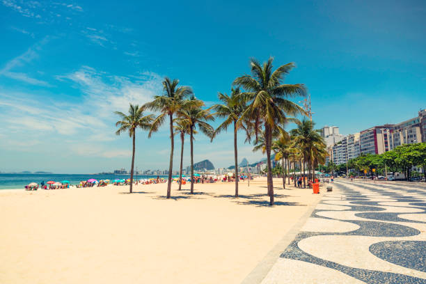 Palms on Copacabana Beach next to landmark mosaic in Rio de Janeiro Palms on Copacabana Beach next to landmark mosaic in Rio de Janeiro, Brazil copacabana stock pictures, royalty-free photos & images