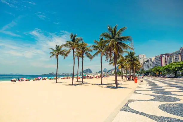 Photo of Palms on Copacabana Beach next to landmark mosaic in Rio de Janeiro
