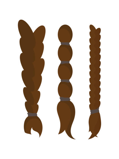 A set of dark braids. Isolated. Vector. A set of dark braids. Isolated. Vector. braided hair stock illustrations