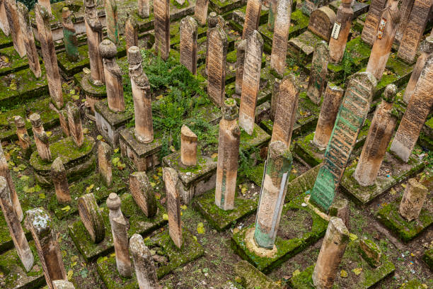 istock Ancient tombstones in the islamic graveyard in Sanliurfa, Turkey 1295434437