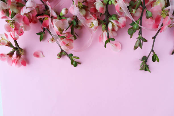 istock spring composition. flowering branch of azalea and space for text 1295434525