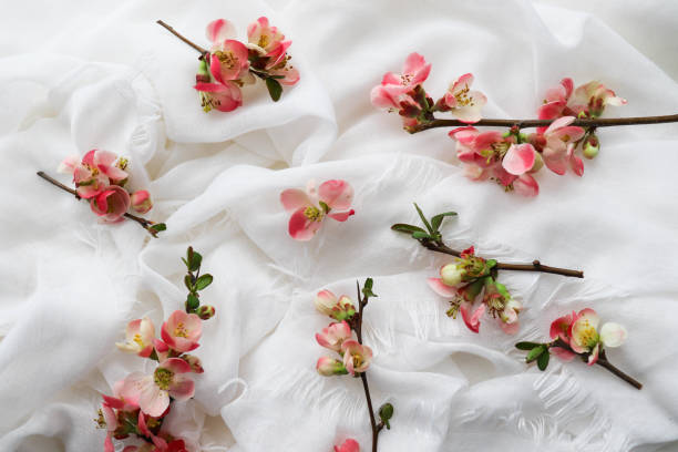 istock spring composition. flowering branch of azalea and space for text 1295434623