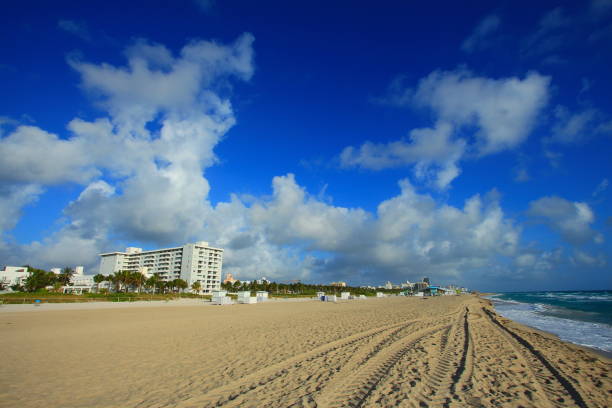 istock Miami city in the summer time 1295435325