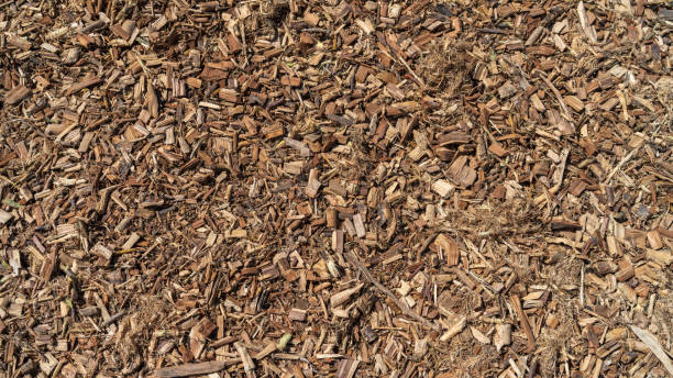 istock wood sawdust lie on the ground as background 1295435759