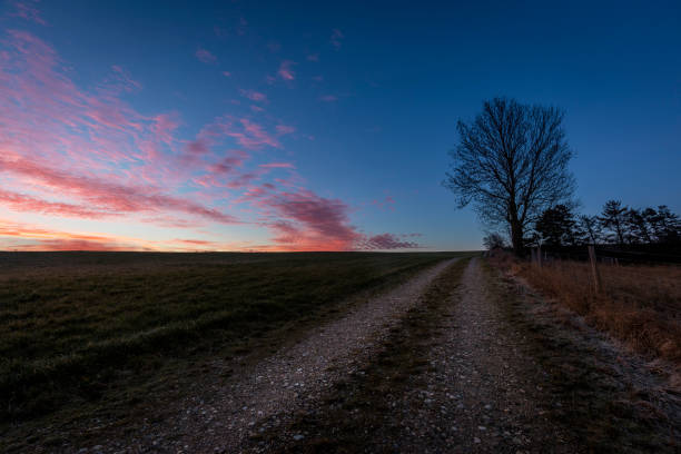 istock Country road 1295440250
