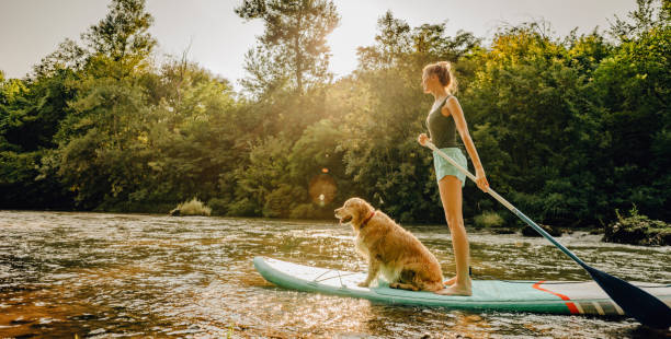 Stand up paddling with my dog Photo of a young woman and her dog stand up paddling on the river; enjoying the beautiful, warm summer afternoon, far from the hustle of the city. outdoor pursuit stock pictures, royalty-free photos & images