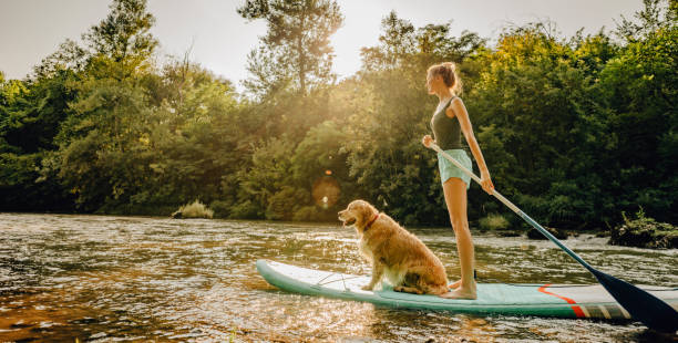 Stand up paddling with my dog Photo of a young woman and her dog stand up paddling on the river; enjoying the beautiful, warm summer afternoon, far from the hustle of the city. dog swimsuit stock pictures, royalty-free photos & images