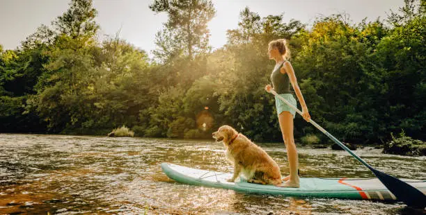Photo of Stand up paddling with my dog