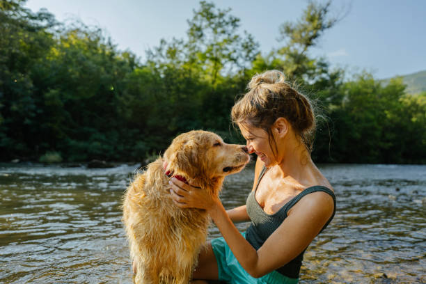 istock My best friend 1295441563