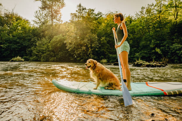 istock Stand up paddling with my dog 1295441636