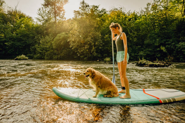 istock Stand up paddling with my dog 1295441643