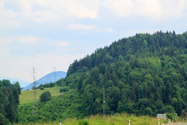 istock Summer forest, meadows and fields countryside landscape 1295444141