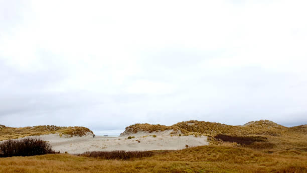 istock Hiking in the dunes 1295445256