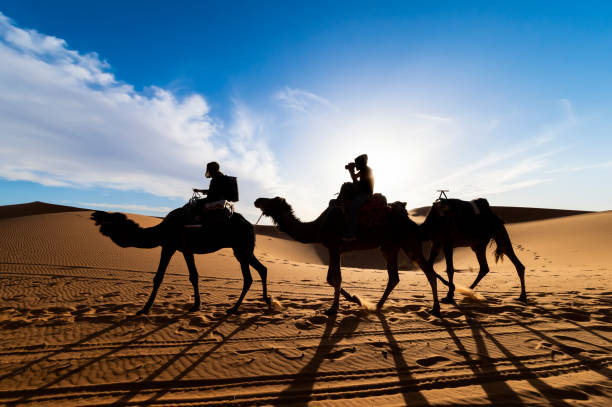 impresionante vista de la silueta de dos personas montando camellos en las dunas de arena en merzouga, marruecos. - herbivorous animals in the wild camel hoofed mammal fotografías e imágenes de stock