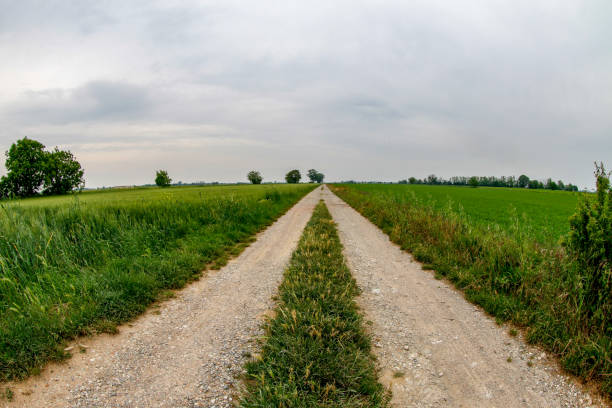 istock the road to the countryside 1295445335