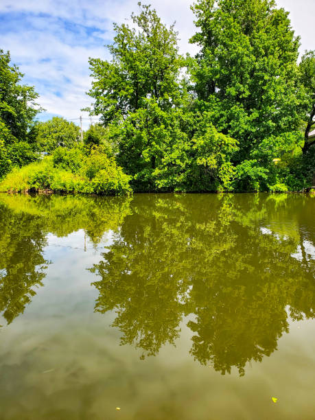 istock Lake on a Sunny summer day. Trees and clouds are reflected in the water 1295448573