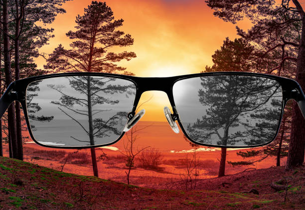 istock Looking through glasses to bleach sunset landscape. Color blindness. World perception during depression. Medical condition. Health and disease concept. 1295454621