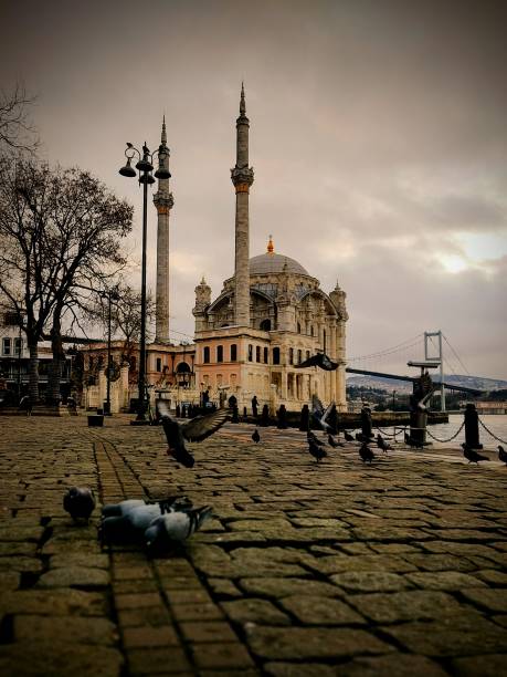 istock Pigeons Feeding in the Great Mecidiye Mosque 1295455004