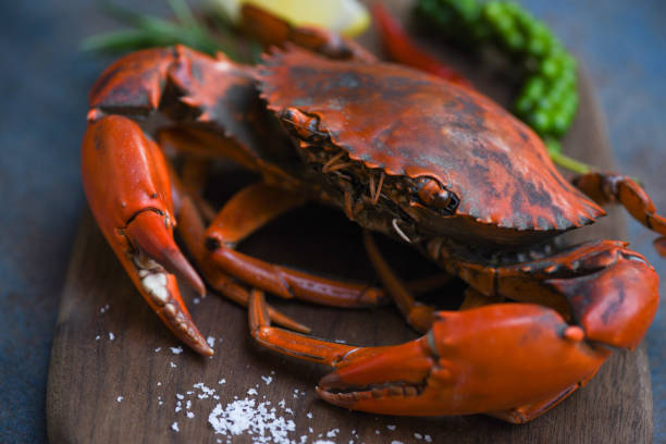 istock Shellfish seafood plate with steaming crab on wooden dark background. 1295456268