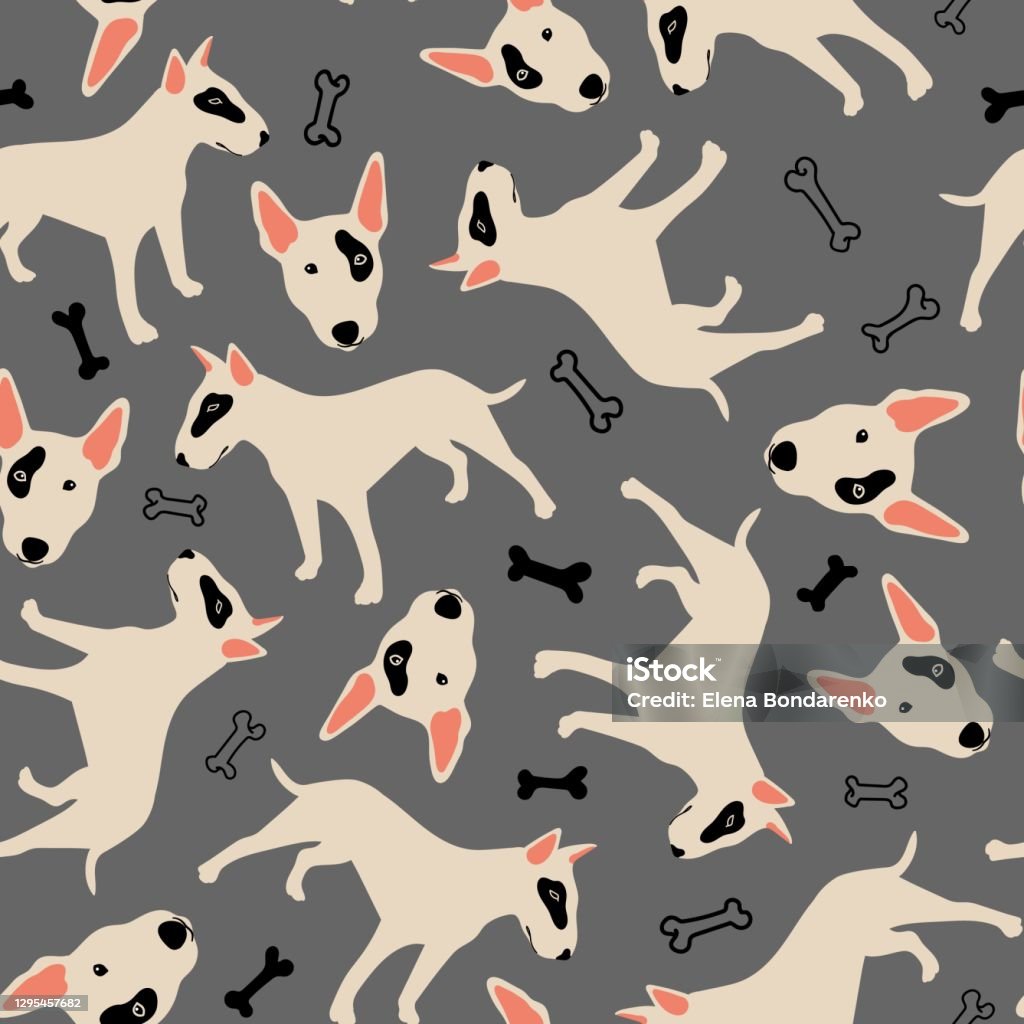 Seamless Vector Pattern With Bull Terrier Pitbull Bones Dog Breed Concept  Cute Background For Fabric Textile Wallpaper Illustration Stock  Illustration - Download Image Now - iStock