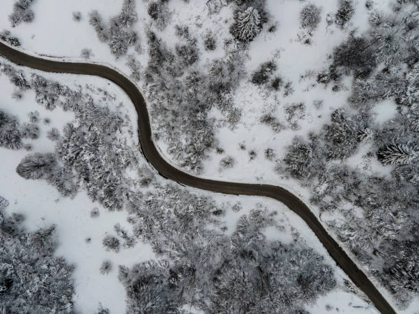 istock High Angle View on a Road in Snowy Winter 1295458969