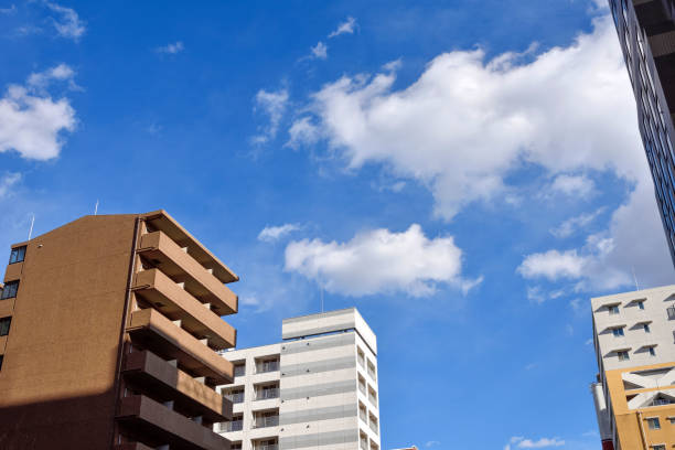 istock Cityscape on a sunny day 1295458986