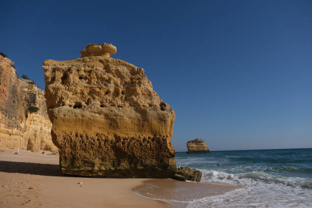 istock Rocks On Beach Against Clear Blue Sky 1295459269