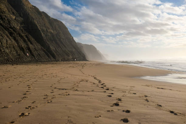 istock Scenic View Of Beach Against Sky 1295459795
