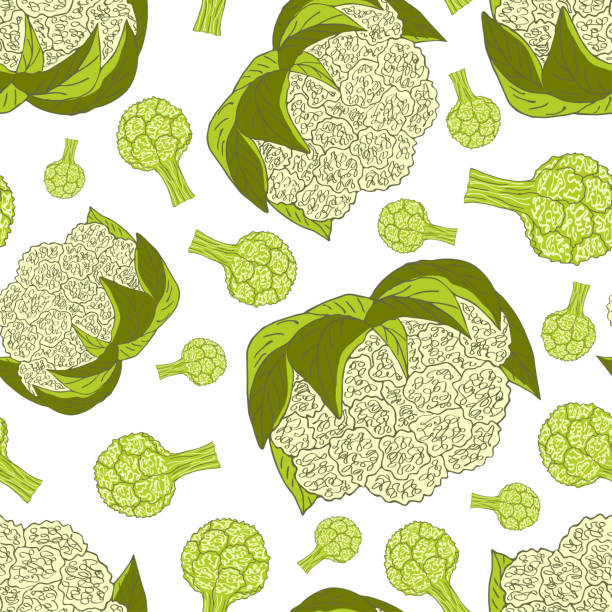 ilustrações de stock, clip art, desenhos animados e ícones de cauliflower on a white background. - agriculture backgrounds cabbage close up