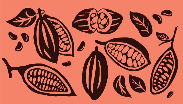 kakaoschote und viele rohe bohnen isoliert auf orangen hintergrund gesetzt. logo-vorlage. vektor-illustration. - schote stock-grafiken, -clipart, -cartoons und -symbole