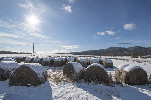 Land in Adirondacks with haystacks in winter
