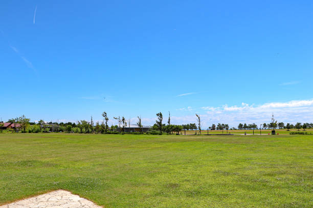istock Green grassland and clear blue sky 1295465114