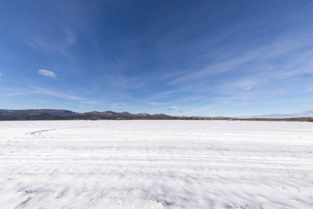 istock Winter scene in the Adirondack Mountains 1295465162