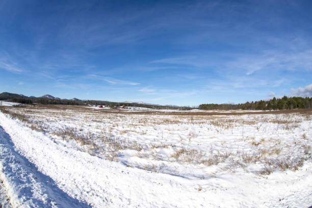 istock Winter scene in the Adirondack Mountains 1295465228
