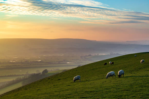 istock An Idyllic South Downs Landscape 1295466641