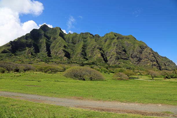 istock Dirt road in Kualoa Ranch 1295467894