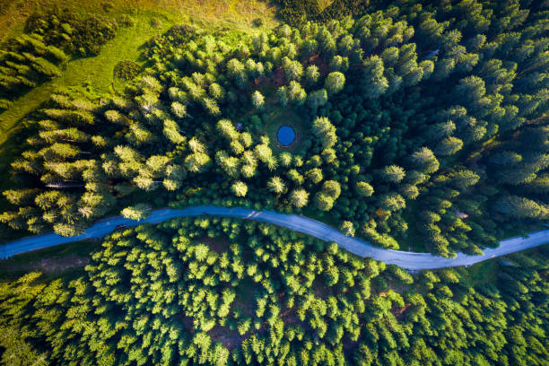 Aerial view of mountain road