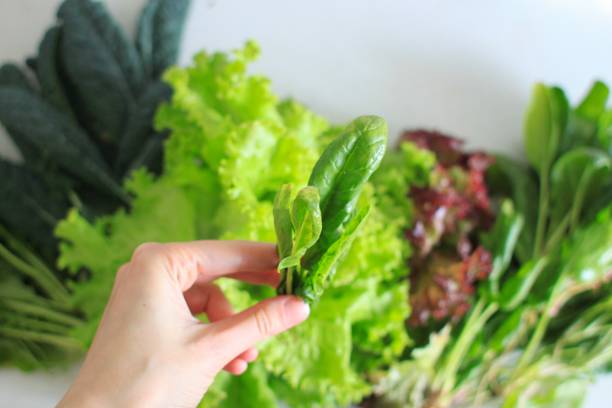 istock Food background. Green salad’s leaves 1295468633