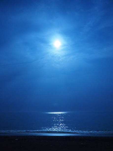istock The sea illuminated by the moonlight 1295468673